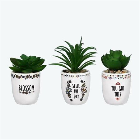 PATIO TRASERO Ceramic Multi Color Pots with Succulent - Small - 3 Piece PA4267755